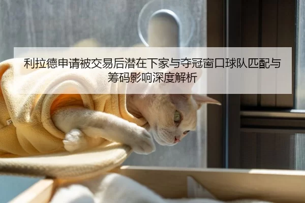 利拉德申请被交易后潜在下家与夺冠窗口球队匹配与筹码影响深度解析